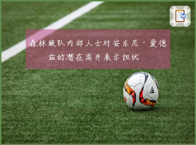 森林狼队内部人士对安东尼·爱德华兹的潜在离开表示担忧