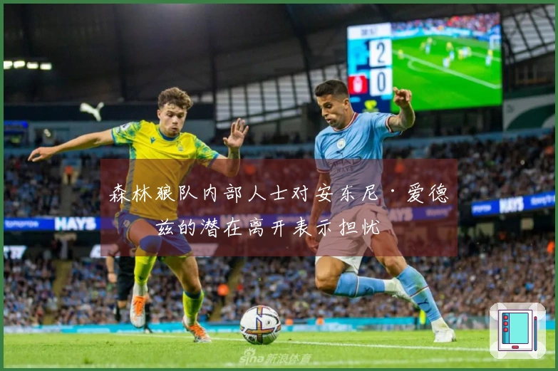 森林狼队内部人士对安东尼·爱德华兹的潜在离开表示担忧